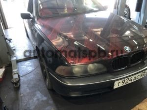 photo1689627286 (1)