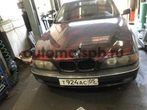 photo1689627286 (2)