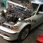 photo1690476116 (7)