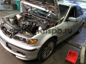 photo1690476116 (7)